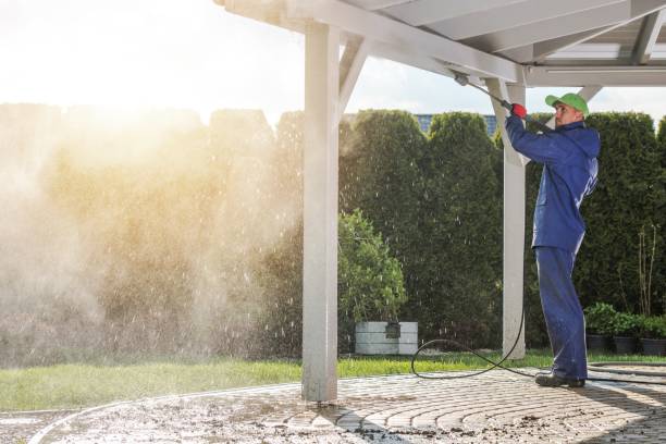 Best Soft Washing for Delicate Surfaces in Marcus, IA