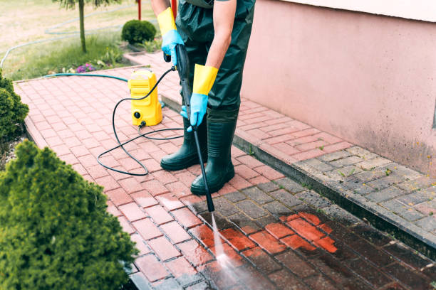Best Building Exterior Pressure Washing in Marcus, IA